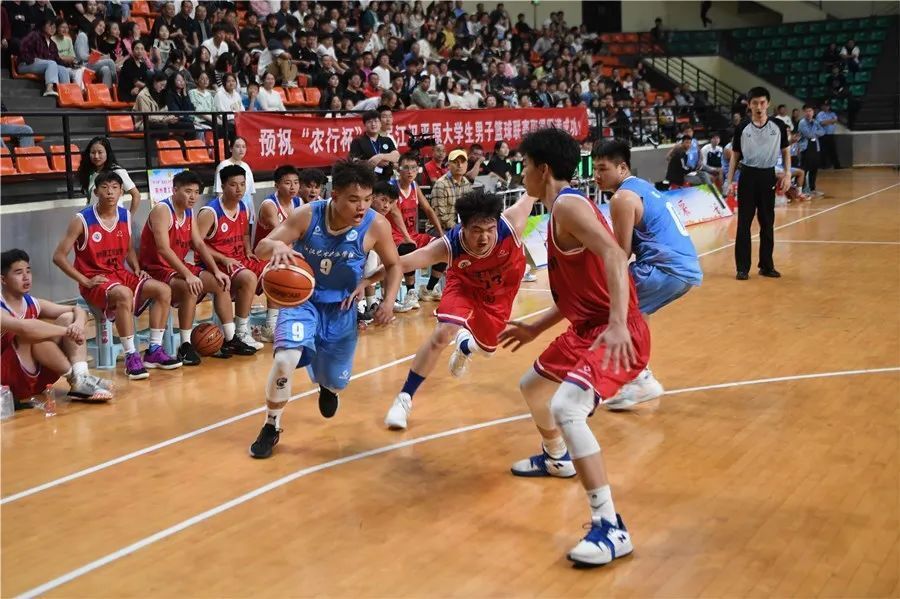 四川平原男篮表现出色，豪取对手